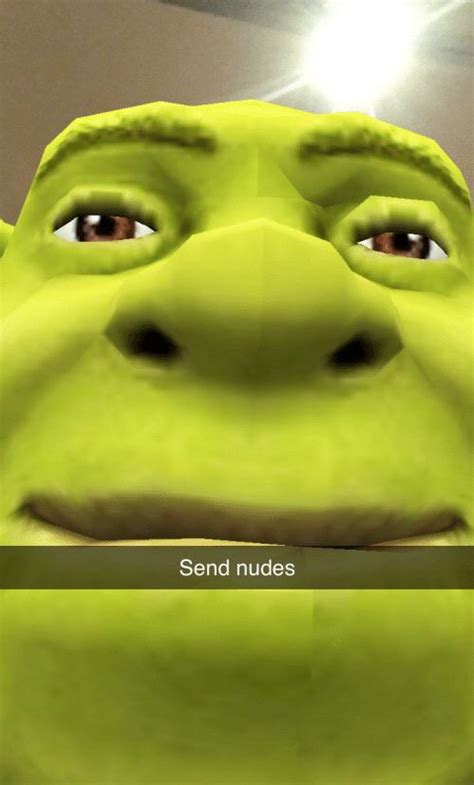 shrek nudes|shrek videos